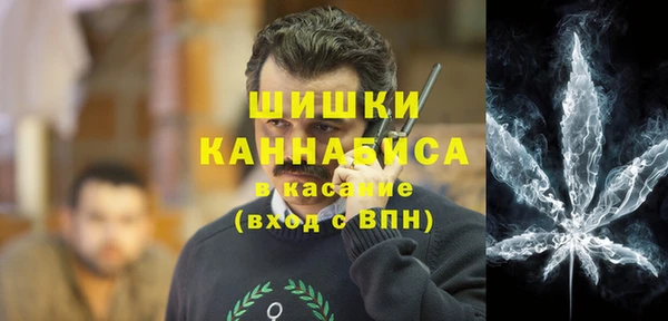 мдпв Новодвинск