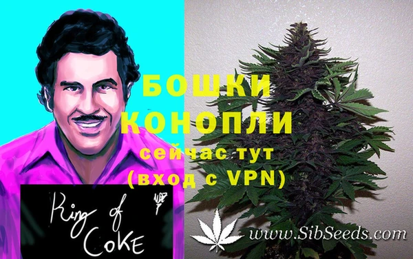 бошки Алексеевка