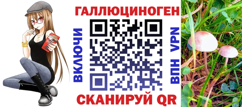 дарнет шоп  Алушта  Псилоцибиновые грибы GOLDEN TEACHER 